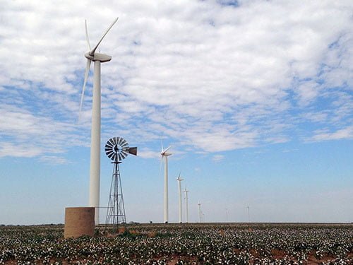 Row of wind turbines in a cotton field with a blue sky