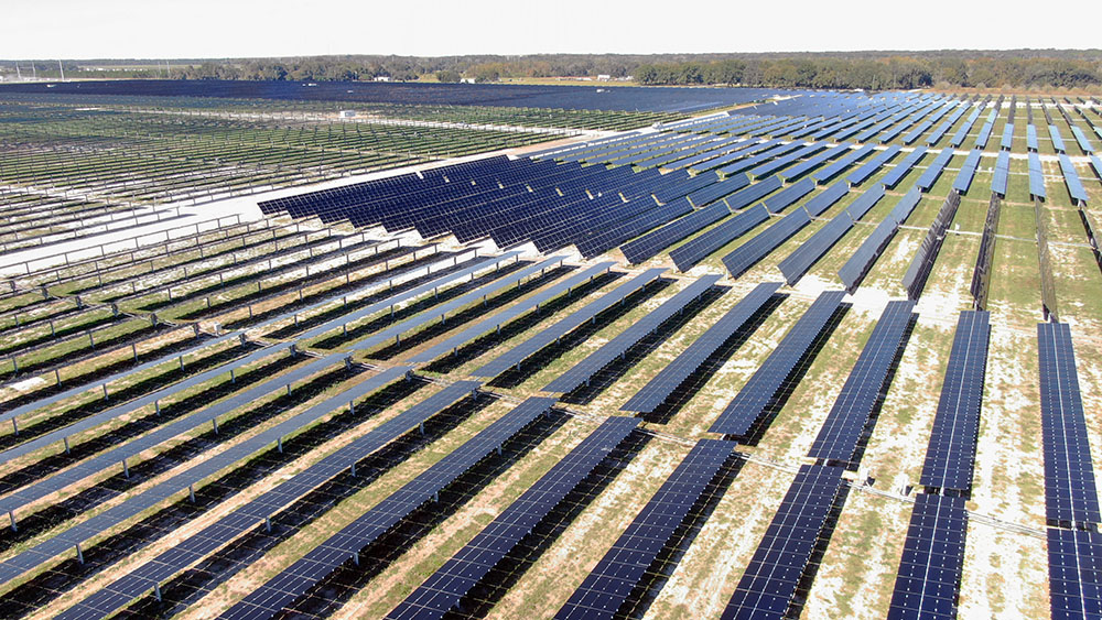 Aerial view of solar panel rows in field